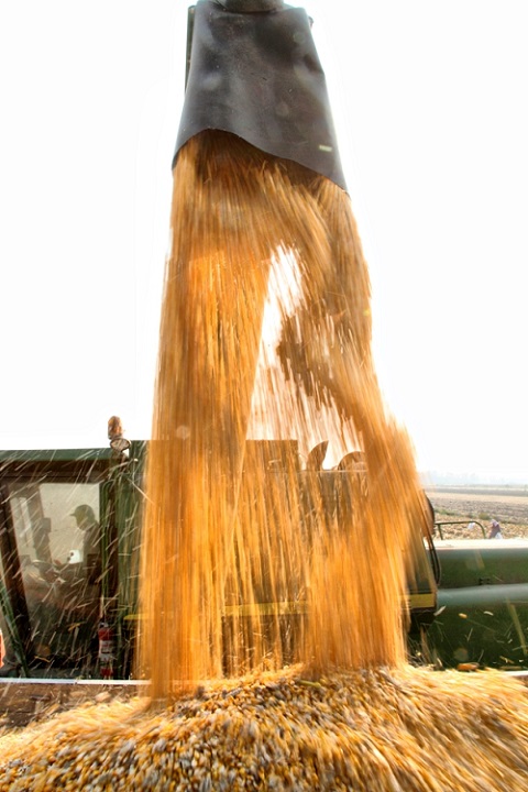 ����ʡũ������ũ����˫���������չ3