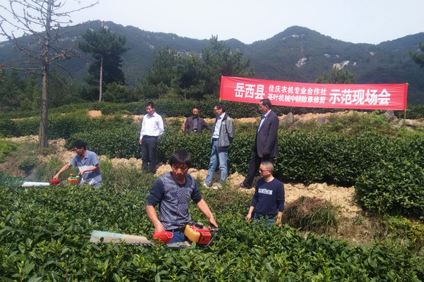 �����������ٿ���Ҷ��е�и������޼�ʾ���ֳ���