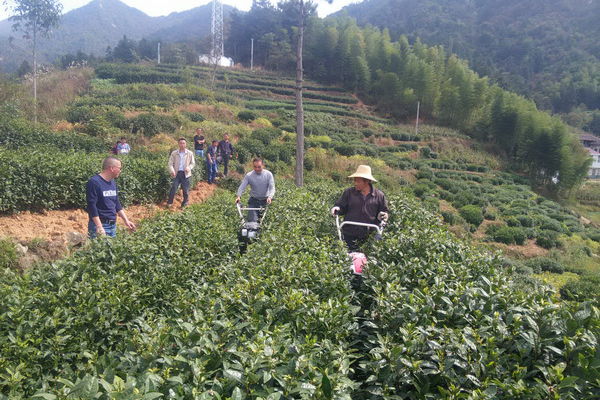 �����������ٿ���Ҷ��е�и������޼�ʾ���ֳ���2