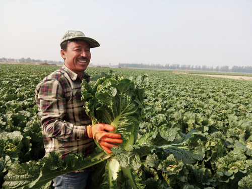 �������ǰײ˻�÷��� ��ũϲ��ü��