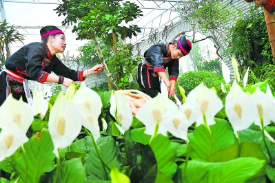 福建农业领演农交会大“戏”