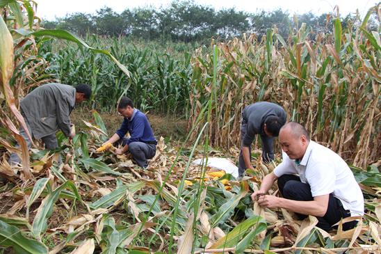 ���ϸ�����2015�����׸߲�������Ŀ˳��ͨ���������