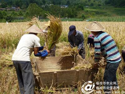 �������ؼӴ�ũ������ʳ���������е��ƹ�Ӧ��