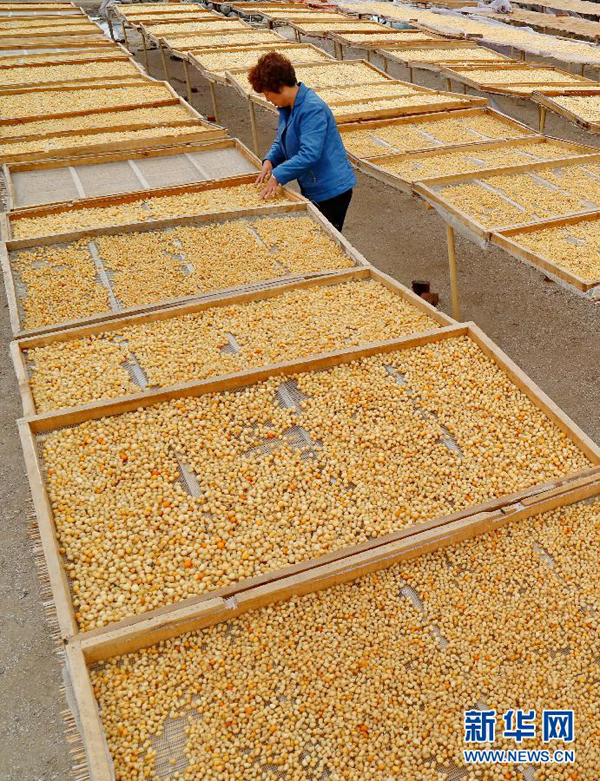 1020գش̲һλũɹȱ