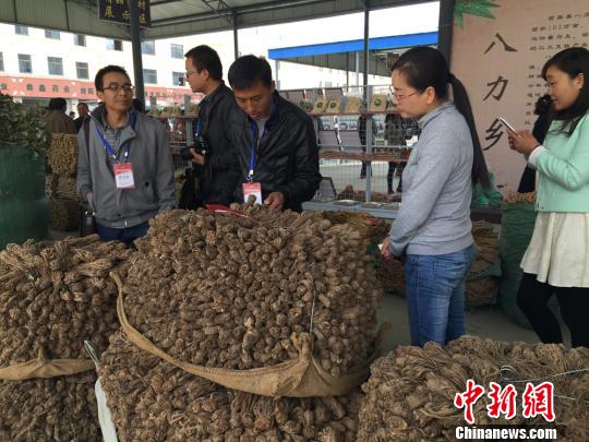 ����¤������������ҩ�� ����ɽ�����ѡ�����