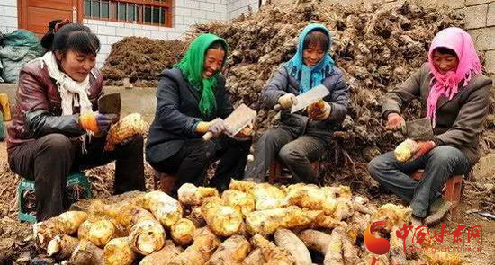 ����崲���40��Ķ��ҩ��ϲ����� ��ֵ6��Ԫ