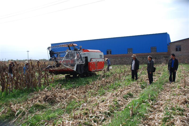 ����½����ȫ��е������������������ȫ������մ��׶�