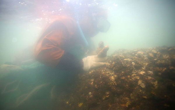 10��21�գ�ǱˮԱ����������¹��������ɲ��ɴ̲Ρ�