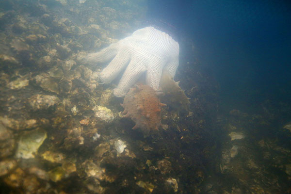 10��21�գ�ǱˮԱ����������¹��������ɲ��ɴ̲Ρ�