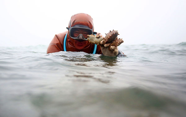 10��21�գ�ǱˮԱ����������¹��������ɲ��ɴ̲Ρ�