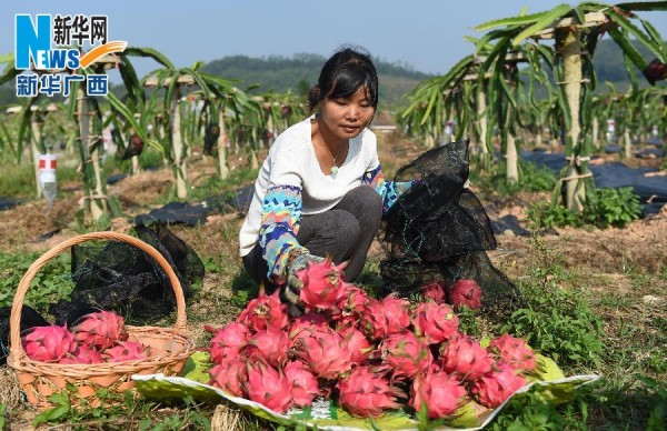 �������������������������� ũ���ժ����