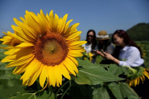 �����ڰ�����������������