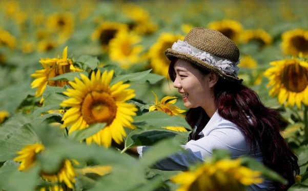 10��18�գ�һ���ο����ڰ��ش����������������������档