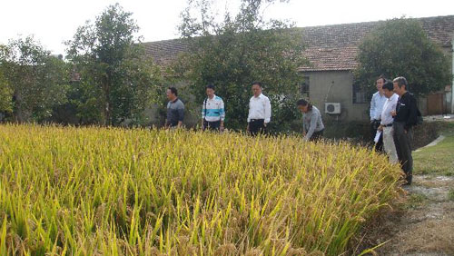 Ϻɽũ֯2015ˮ߲ʾ顢Ȼ