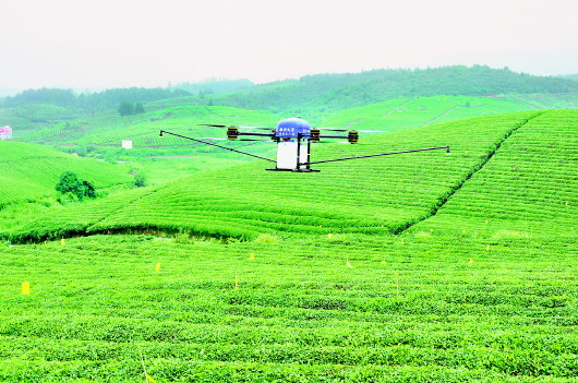 松桃自治县农机中心利用植保无人机对普觉、正大等现代高效茶叶示范园区进行管护,节省大量人力资源,降低生产成本。