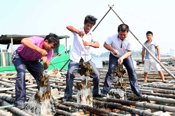 �������ݣ�ʮ��Ķ��򺸻���