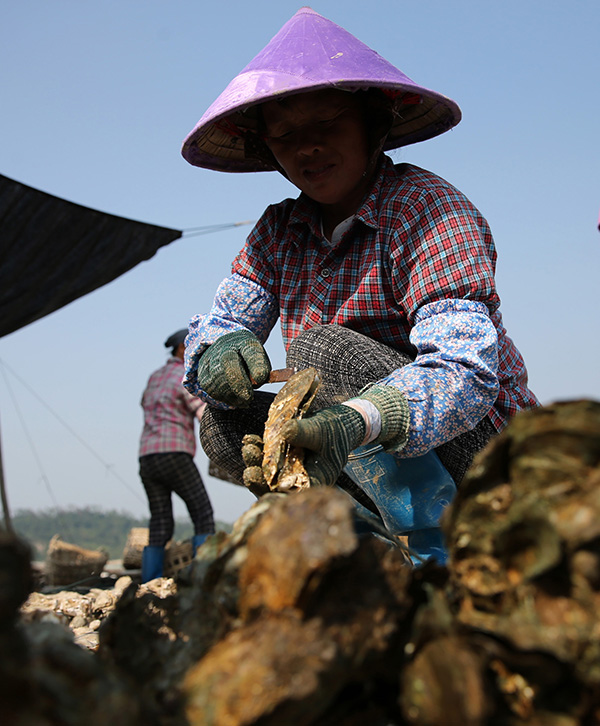 ���������к�ˮ��ֳ�����ÿ��ոմ��̵Ĵ�򺣨10��21���㣩��