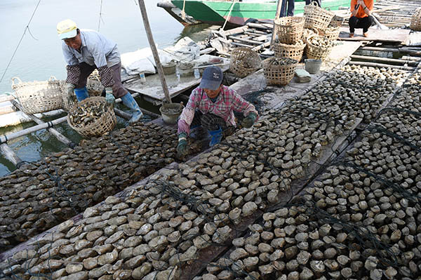 ���������к�ˮ��ֳ����������磨10��21���㣩��