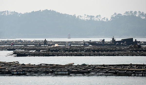 ���������к�ˮ��ֳ���������������10��21���㣩��