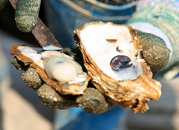 ���������к�ˮ��ֳ���ÿ��ոմ��̵Ĵ�򺣨10��21���㣩��