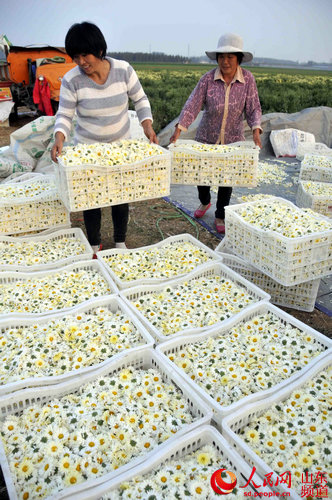 ɽ��۰�ǡ����Ͼջ�����ժ����