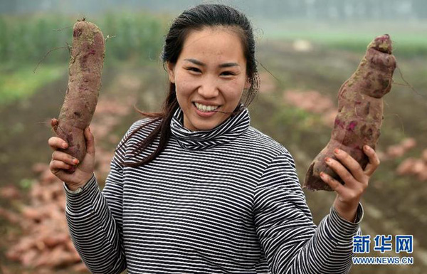 10��21�գ��İ���ũ����ɫũ��Ʒ��ֲרҵ�����繤����չʾ�ջ��������