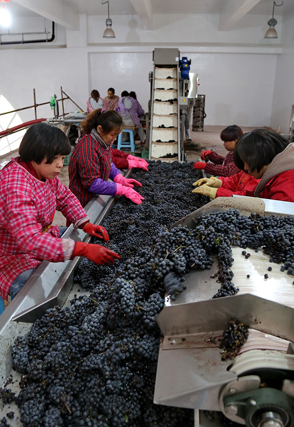 1021գӱʡʮ̴ũջѡ