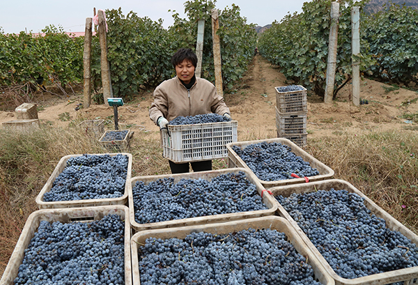 1021գӱʡʮ̴һλũڽջľװϳѾҵۡ