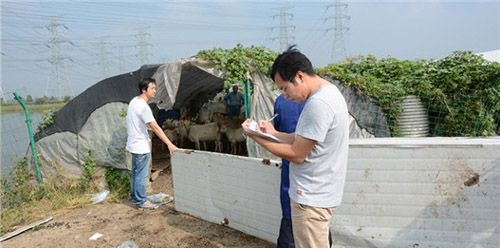 上海市动物疫控中心来松江开展秋防工作检查3
