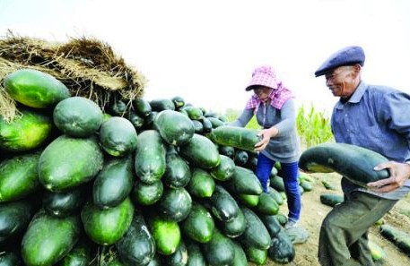 ������Ǩ��Ƥ����ϲ����� ƽ��Ķ���������