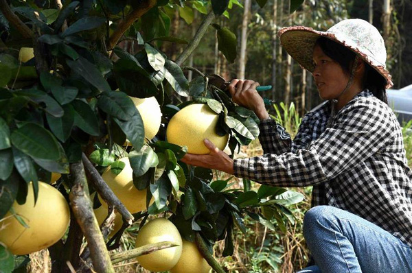 ���������ز�������������