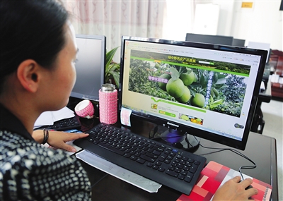 消费者可以通过网上商城购买到正宗琼中绿橙。