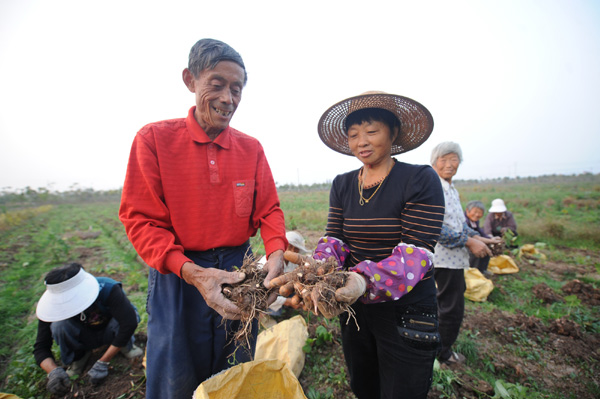 ���վ�����ɳ�����