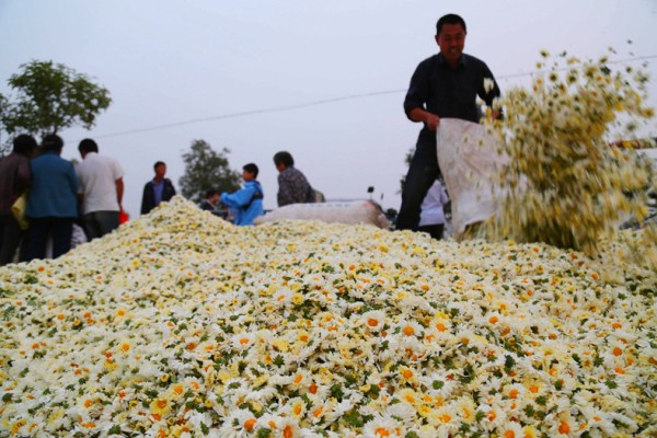 1024գջл廨ũջϲա