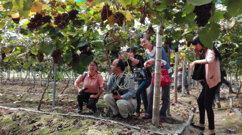 1016磬ũҵֳӣأСվվҵ˻ҵ55˹ĦɳϹרҵ磨磩ѶνֳЧܺãұʾ