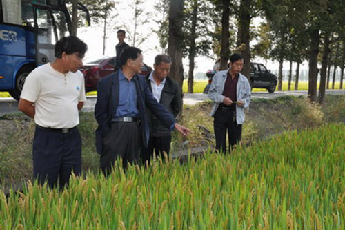 ϺɽũѧУˮ࿼ɽͥũʾ