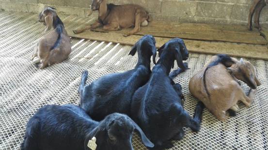 ���Ϸ������»�����ܺ���ٷ����