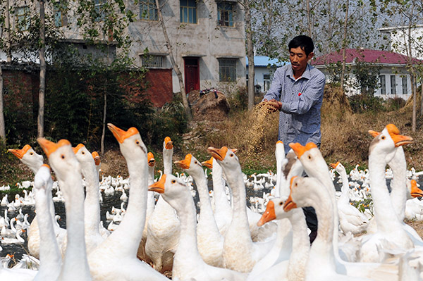 �Բ�ҵΪ���� �����������ƺ��Ͼ�׼��ƶ