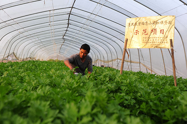 �ڹ��Ҽ�ƶ���غ���ʡ�����أ���������ڴ������ǰ���鿴���������۲˵ĳ��ơ���ǰ������ �������ƶ��ϢС��������չ�߲���ֲ��10��20���㣩��