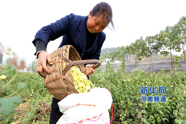 1024գʡвׯ壬ҹҩֲרҵԱѲժľջﵹڴС