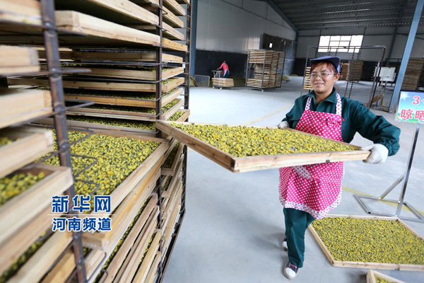 20151024գʡв̫ѾƷ޹˾䣬Աºڰɱľջװɳ