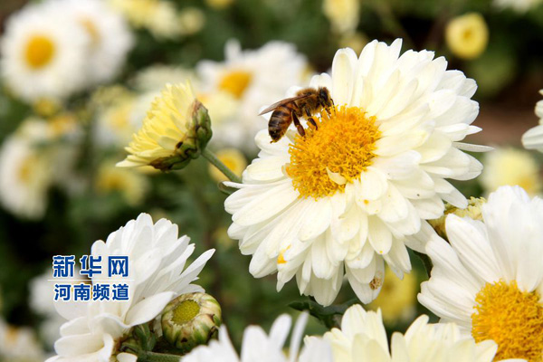 20151024գʡв壬ľջҰ