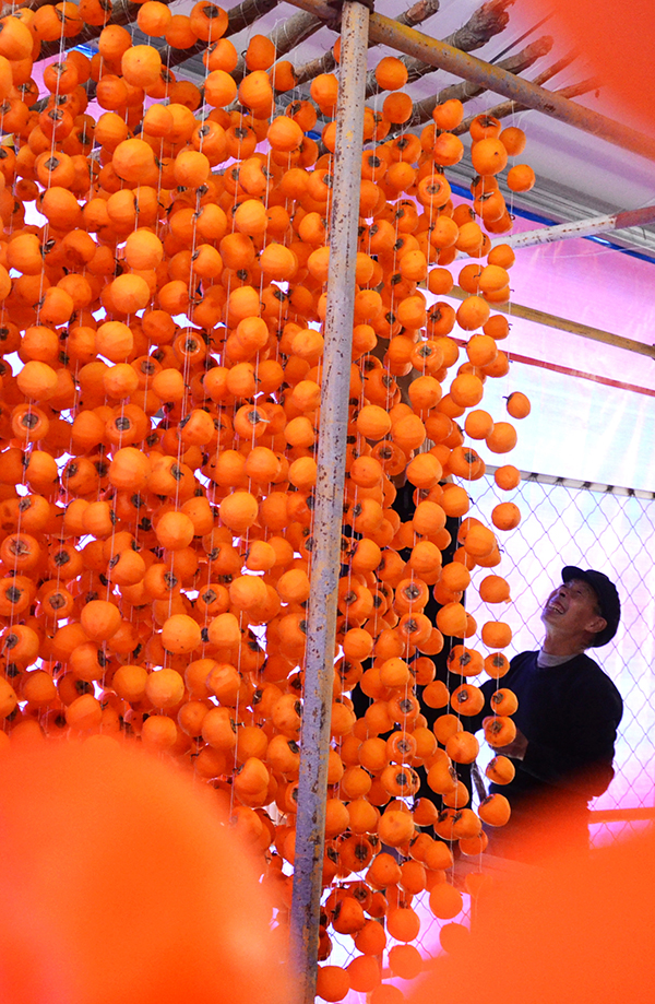 1025գɽʡԴض֣ũڵɹӹ