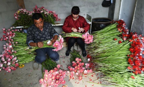 10��24�գ�ɽ��ʡ�����о��ÿ����������ֵ�ʯ��ͷ��Ļ�ũ�Ѳ�ժ�����л���װ���ۡ�