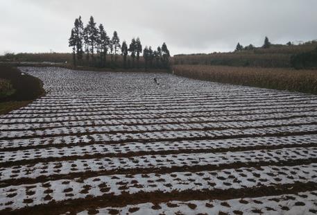 ����������ɽ���߲��ļ���