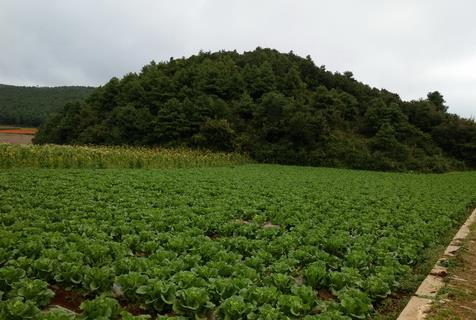 ����������ɽ���߲��ļ���2