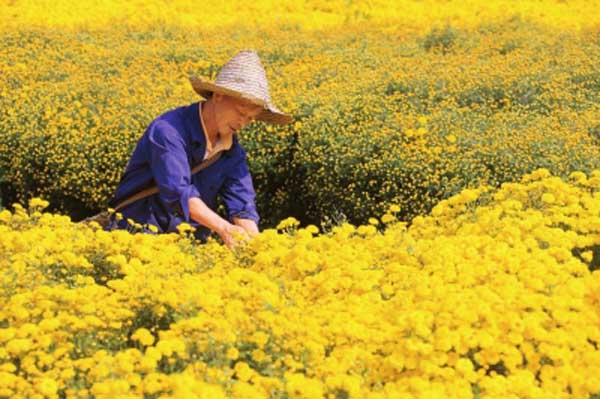 ���������أ�����ɽ��ա�����