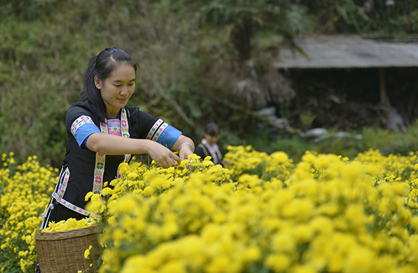 ������ʤ������ʱ�ڻʾ�Ʈ��