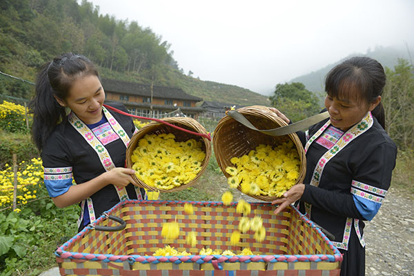 10��27�գ�������ʤ����������ƽ����С����Ķ���Ⱥ���ڲ�ժ�ʾա�