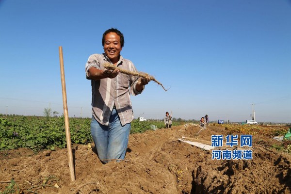 ������������ɽҩϲ�����